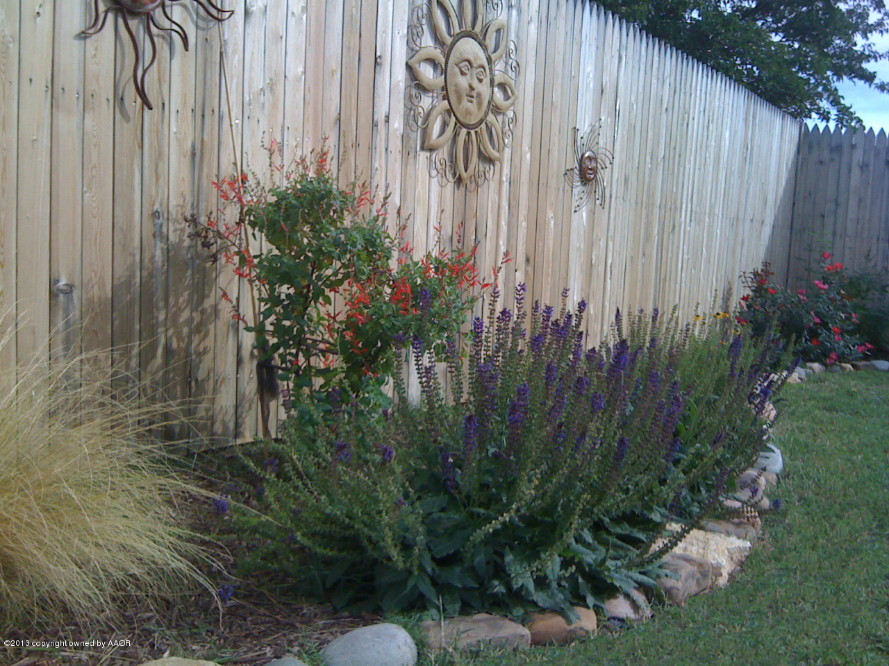 8213 Goodnight Trail Amarillo, TX 79110 - Photo 19 of 20 a view of a backyard with plants
