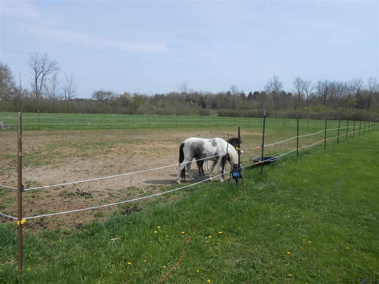 860 East Lykers Road Root, NY 12166 - Photo 17 of 25 Photo 17