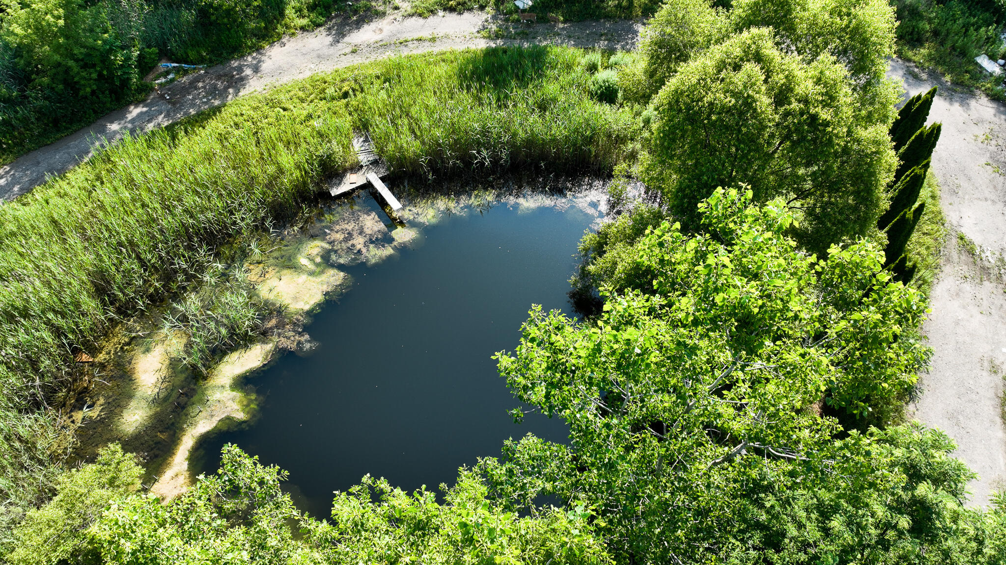 9540 Chubb Road Northville, MI 48167 - Photo 8 of 13 Fishing Pond
