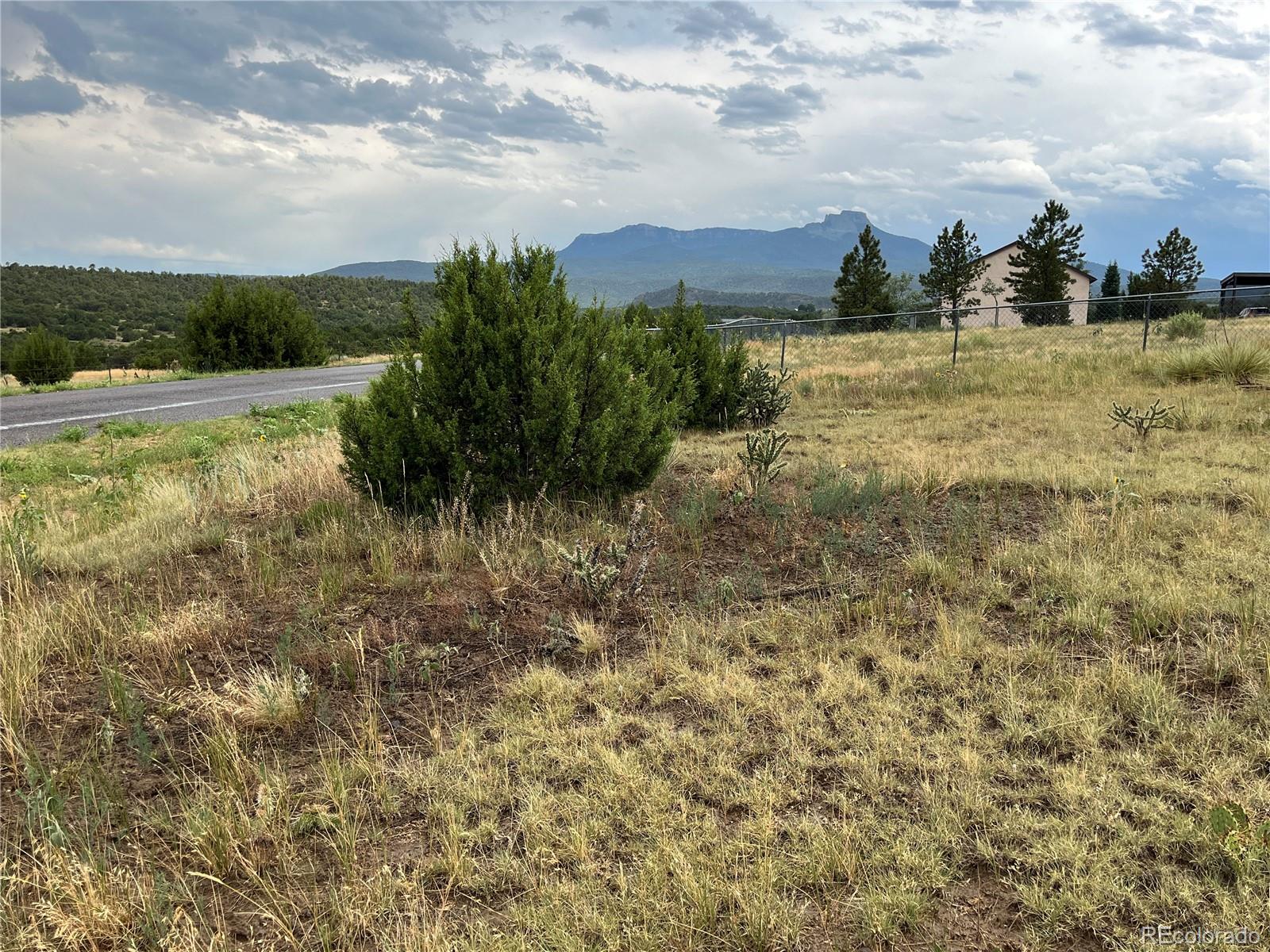 Pinon Terrace Trinidad, CO 81082 - Photo 22 of 26 a view of a yard with an trees