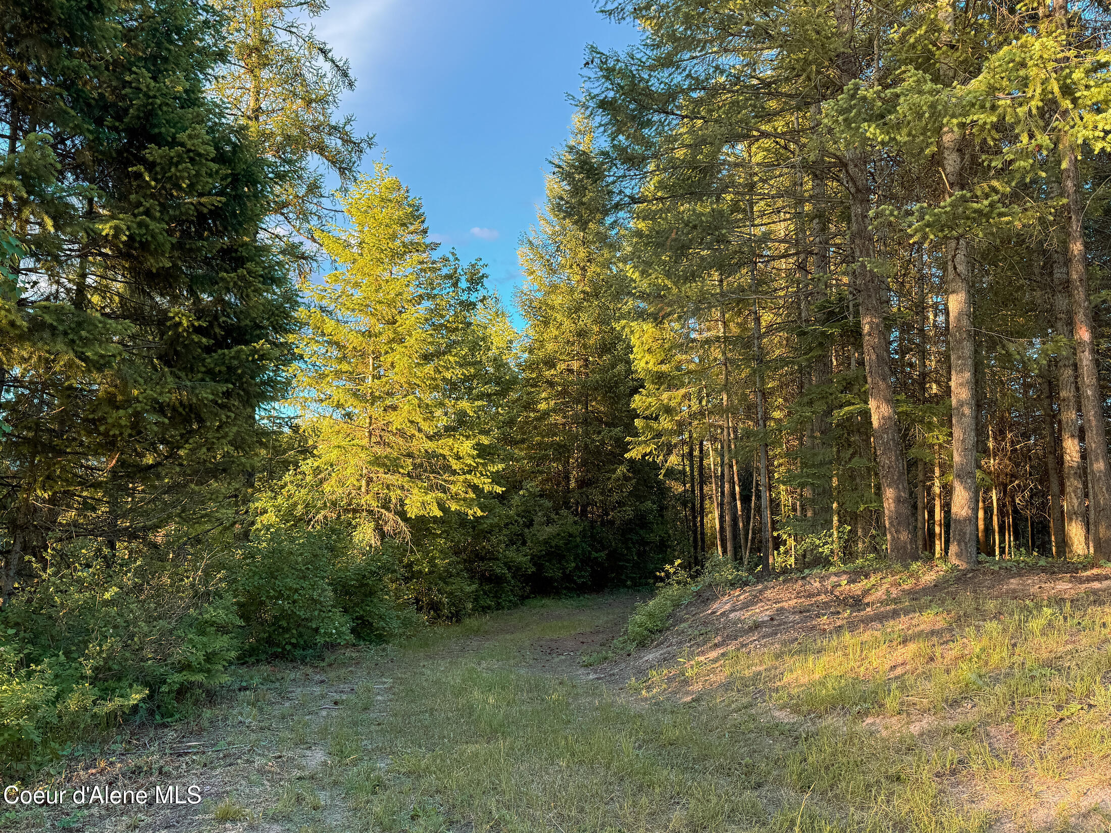 Lot 3 Ridgeview Drive St. Maries, ID 83861 - Photo 11 of 26 25