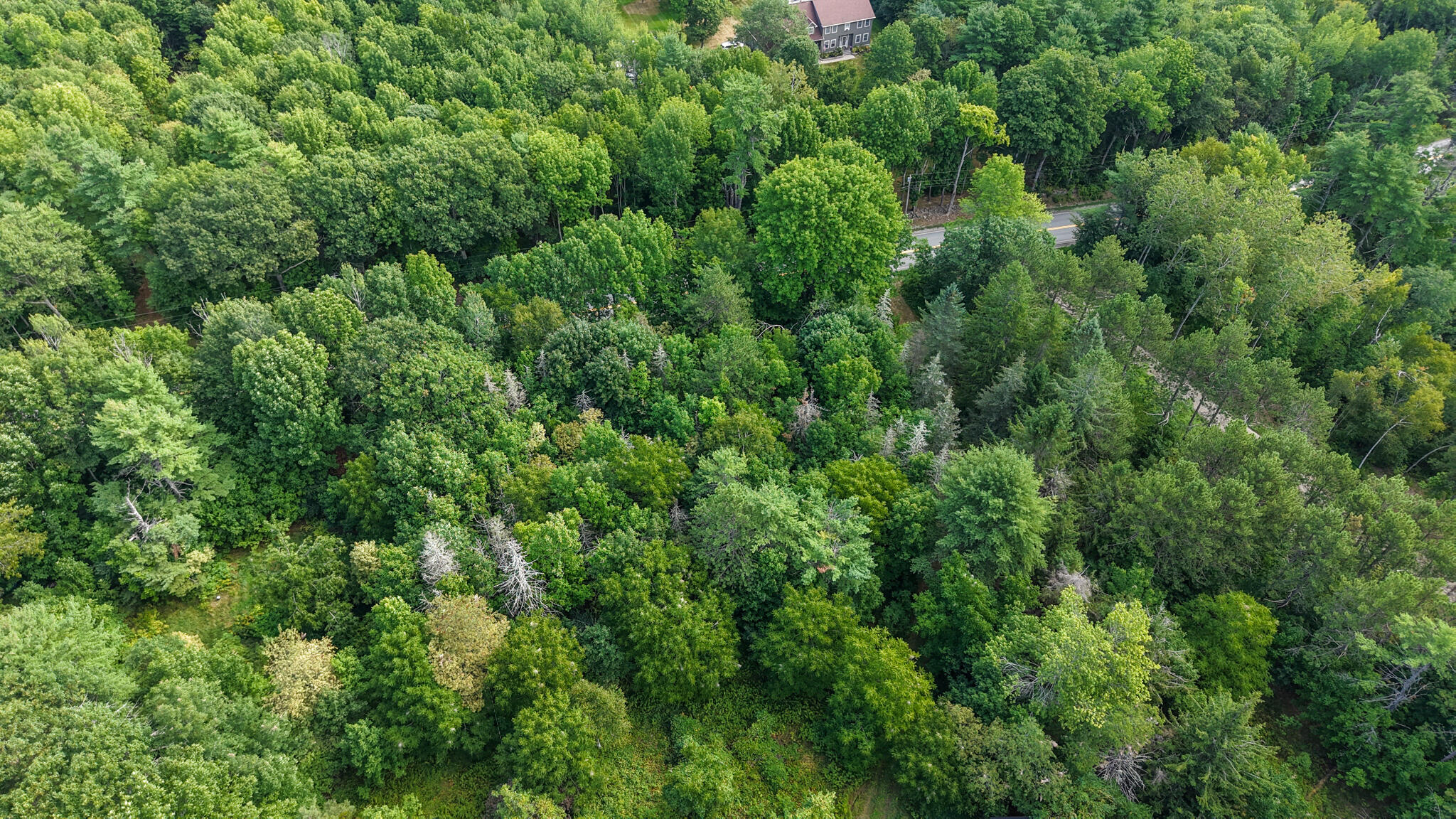 86 Carmel Road South Hampden, ME 04444 - Photo 11 of 12 dji_fly_20260827_100408_0457_17878392673