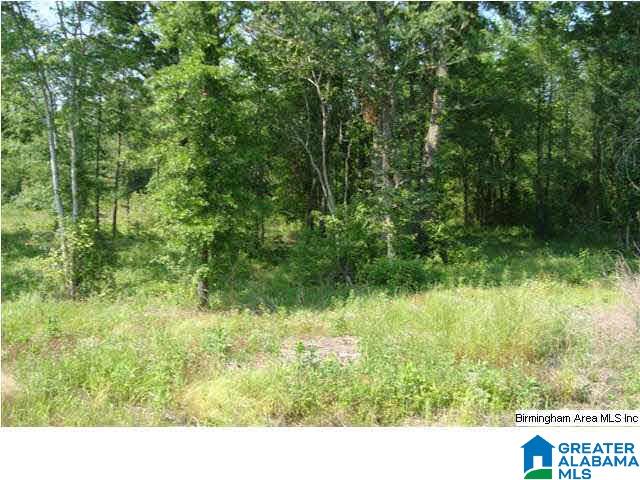 0 Riverview Drive, Unit 116 Cleveland, AL 35049 - Photo 12 of 30