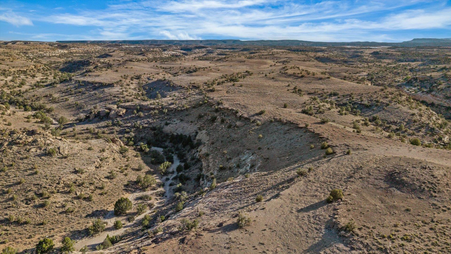 644 Bean Ranch Road Whitewater, CO 81527 - Photo 29 of 29