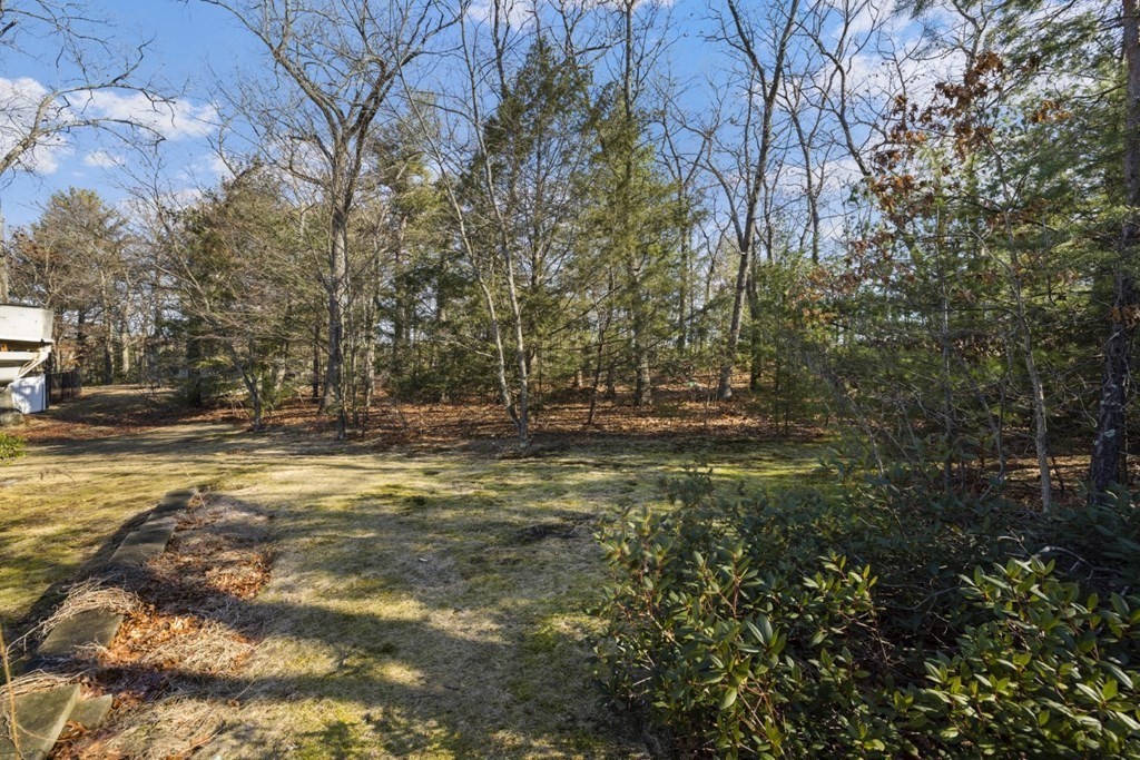 46 Catherine Avenue Reading, MA 01867 - Photo 32 of 32 Gallery Image 32