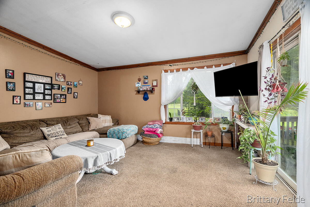 5558 Carlson Road Edmore, MI 48829 - Photo 3 of 20 IMG_1002