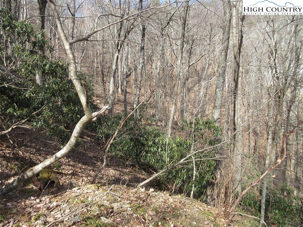 Lot 12 Saul's Camp Road Blowing Rock, NC 28605 - Photo 2 of 7