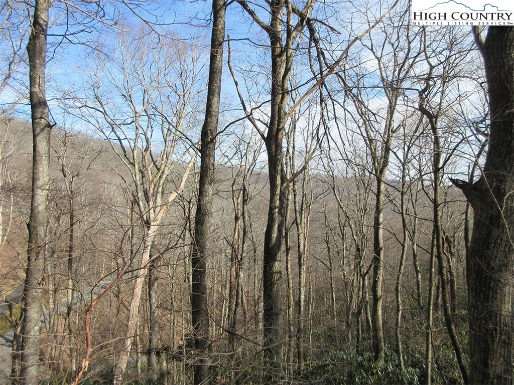 Lot 12 Saul's Camp Road Blowing Rock, NC 28605 - Photo 6 of 7