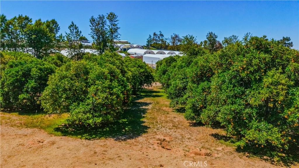 8258 Via Urner Way Bonsall, CA 92003 - Photo 42 of 49
