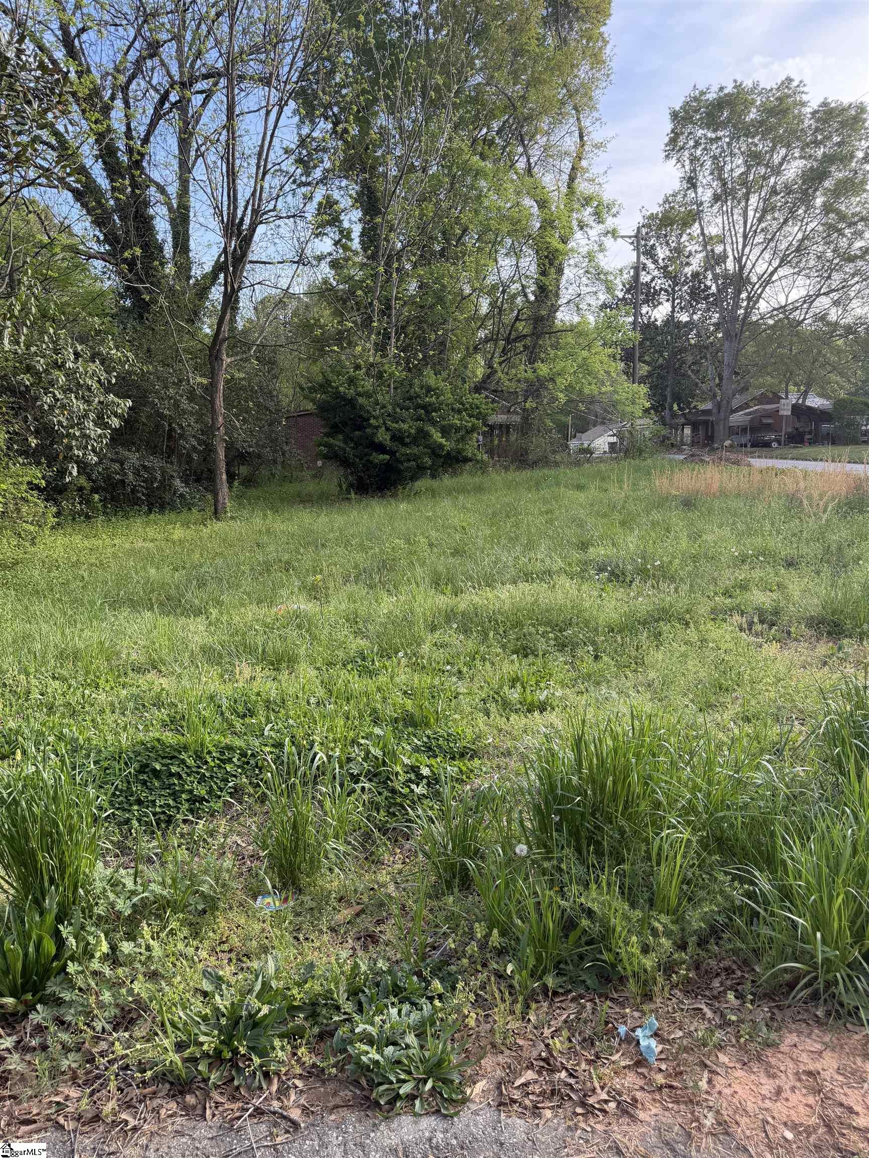 306 Cemetery Street Laurens, SC 29360 - Photo 3 of 5