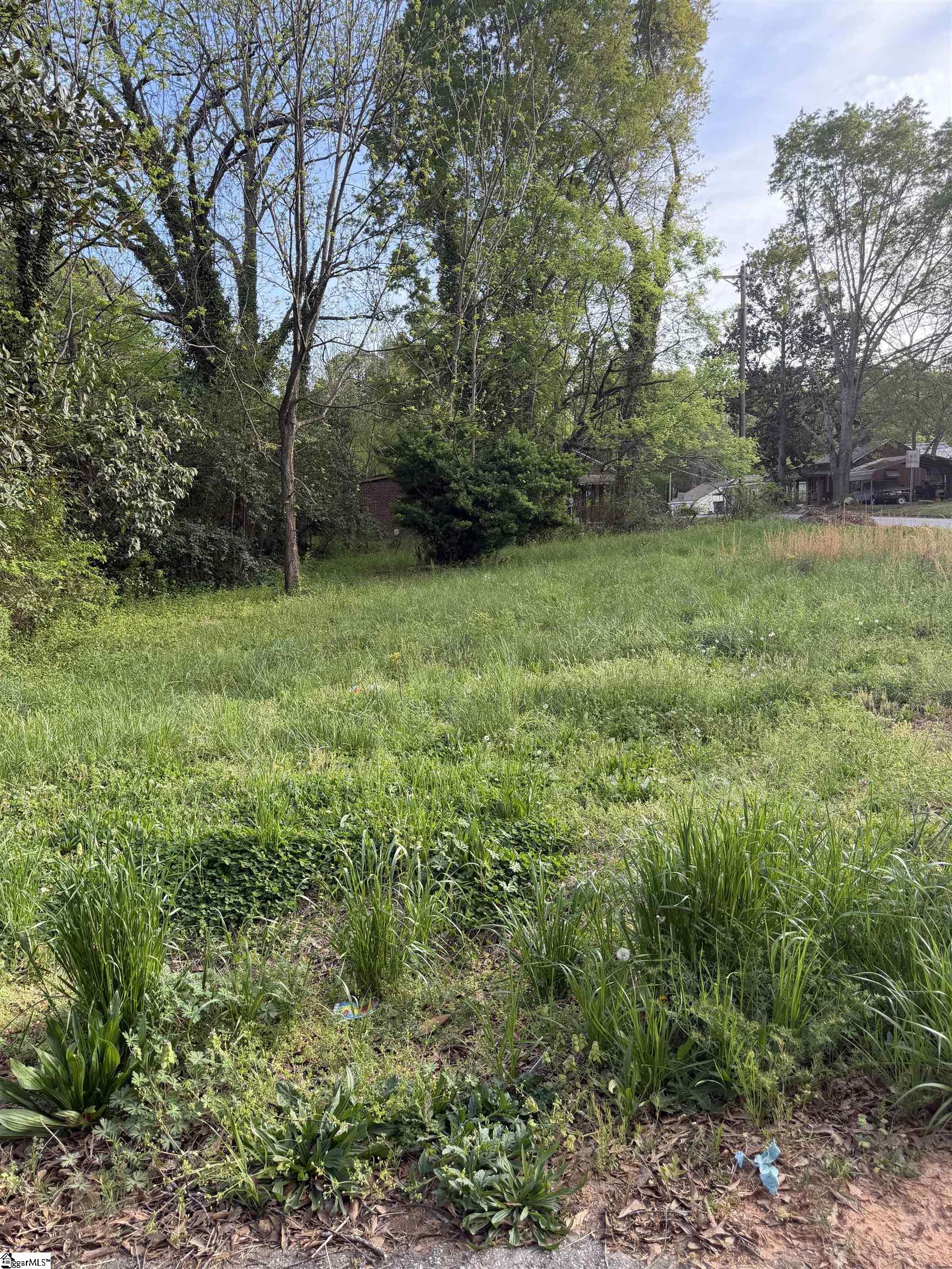 306 Cemetery Street Laurens, SC 29360 - Photo 4 of 5