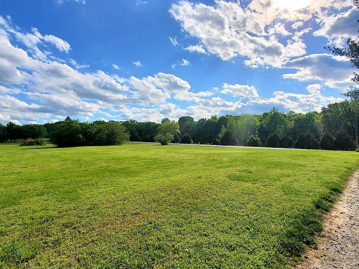5547 New Cut Road Greenbrier, TN 37073 - Photo 57 of 67 Gallery Image 57