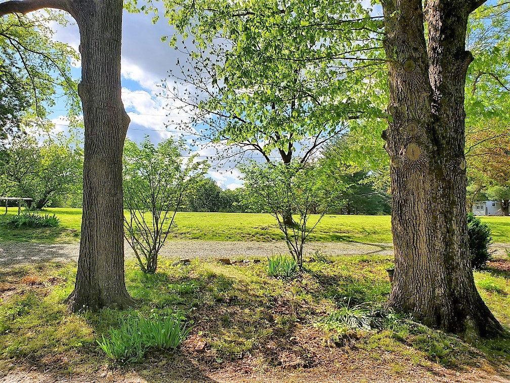 5547 New Cut Road Greenbrier, TN 37073 - Photo 59 of 67 Gallery Image 59