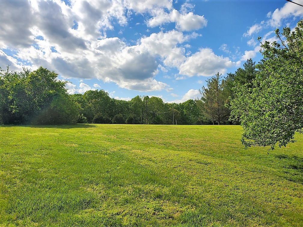 5547 New Cut Road Greenbrier, TN 37073 - Photo 60 of 67 Gallery Image 60