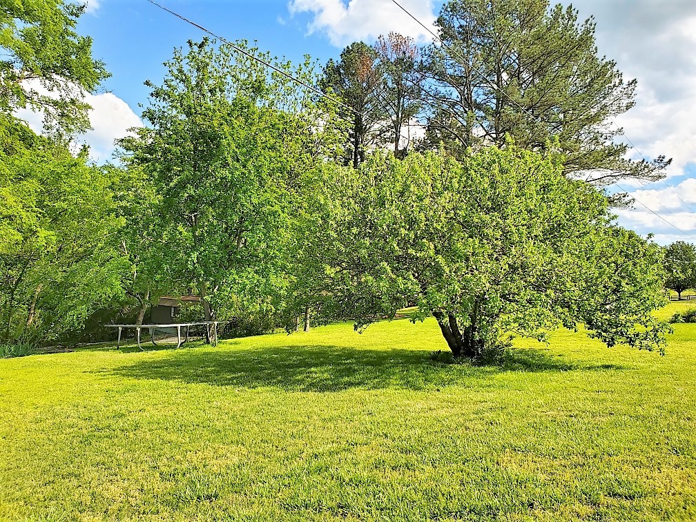 5547 New Cut Road Greenbrier, TN 37073 - Photo 61 of 67 Gallery Image 61