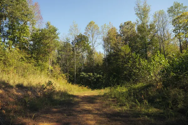 $75,000 | 5845 Turkey Creek Road, Waverly, TN 37185