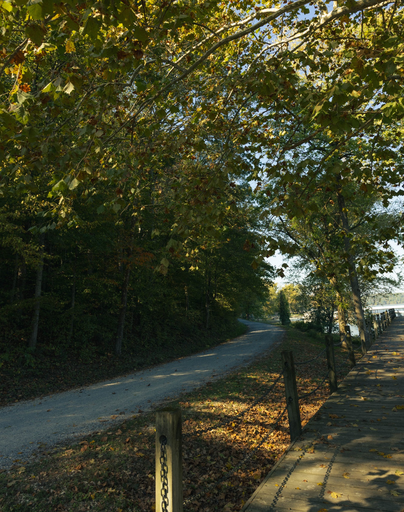 5845 Turkey Creek Road Waverly, TN 37185 - Photo 14 of 21