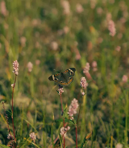 $75,000 | 5845 Turkey Creek Road, Waverly, TN 37185