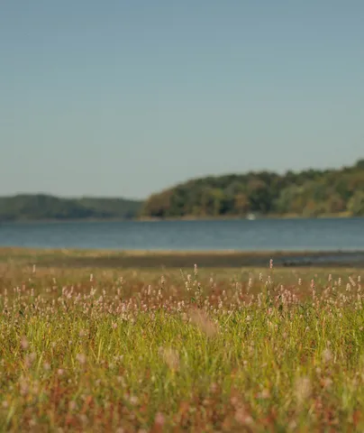 $75,000 | 5845 Turkey Creek Road, Waverly, TN 37185