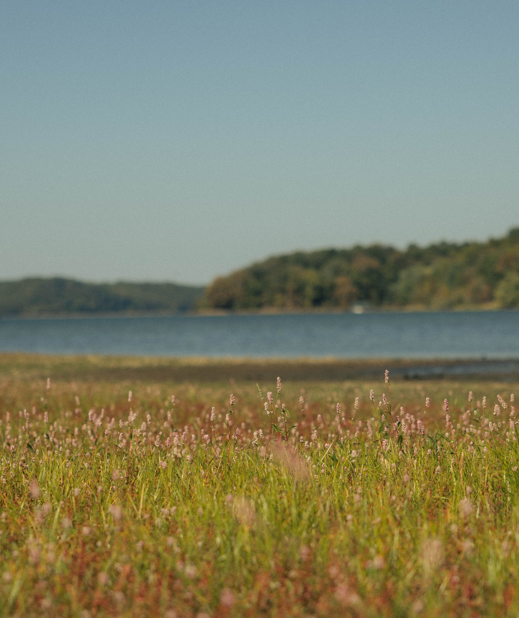 5845 Turkey Creek Road Waverly, TN 37185 - Photo 16 of 21