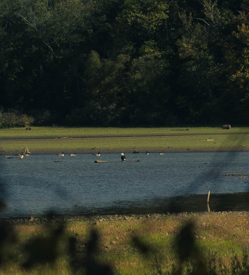 5845 Turkey Creek Road Waverly, TN 37185 - Photo 17 of 21