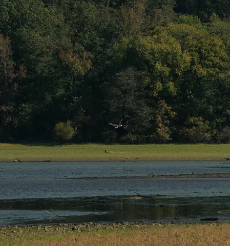 $75,000 | 5845 Turkey Creek Road, Waverly, TN 37185