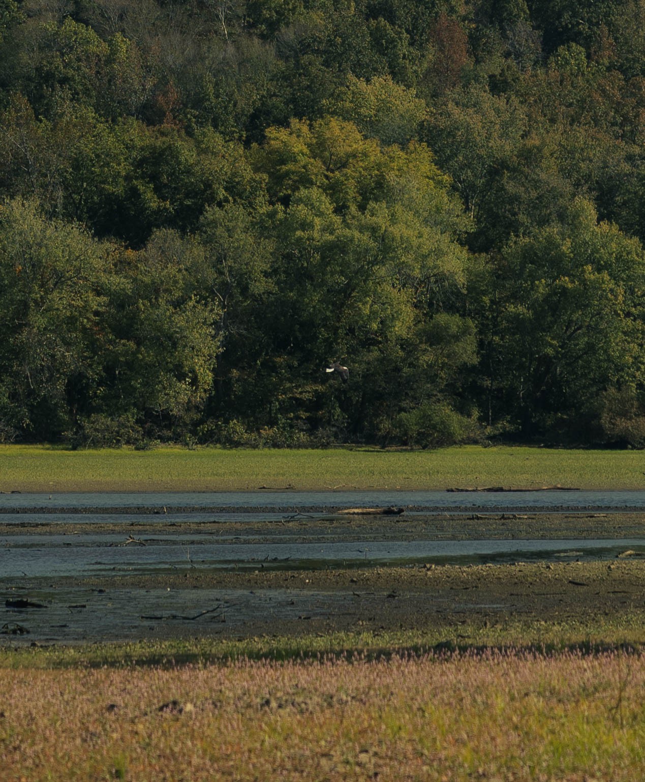 5845 Turkey Creek Road Waverly, TN 37185 - Photo 19 of 21