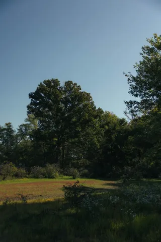 $75,000 | 5845 Turkey Creek Road, Waverly, TN 37185