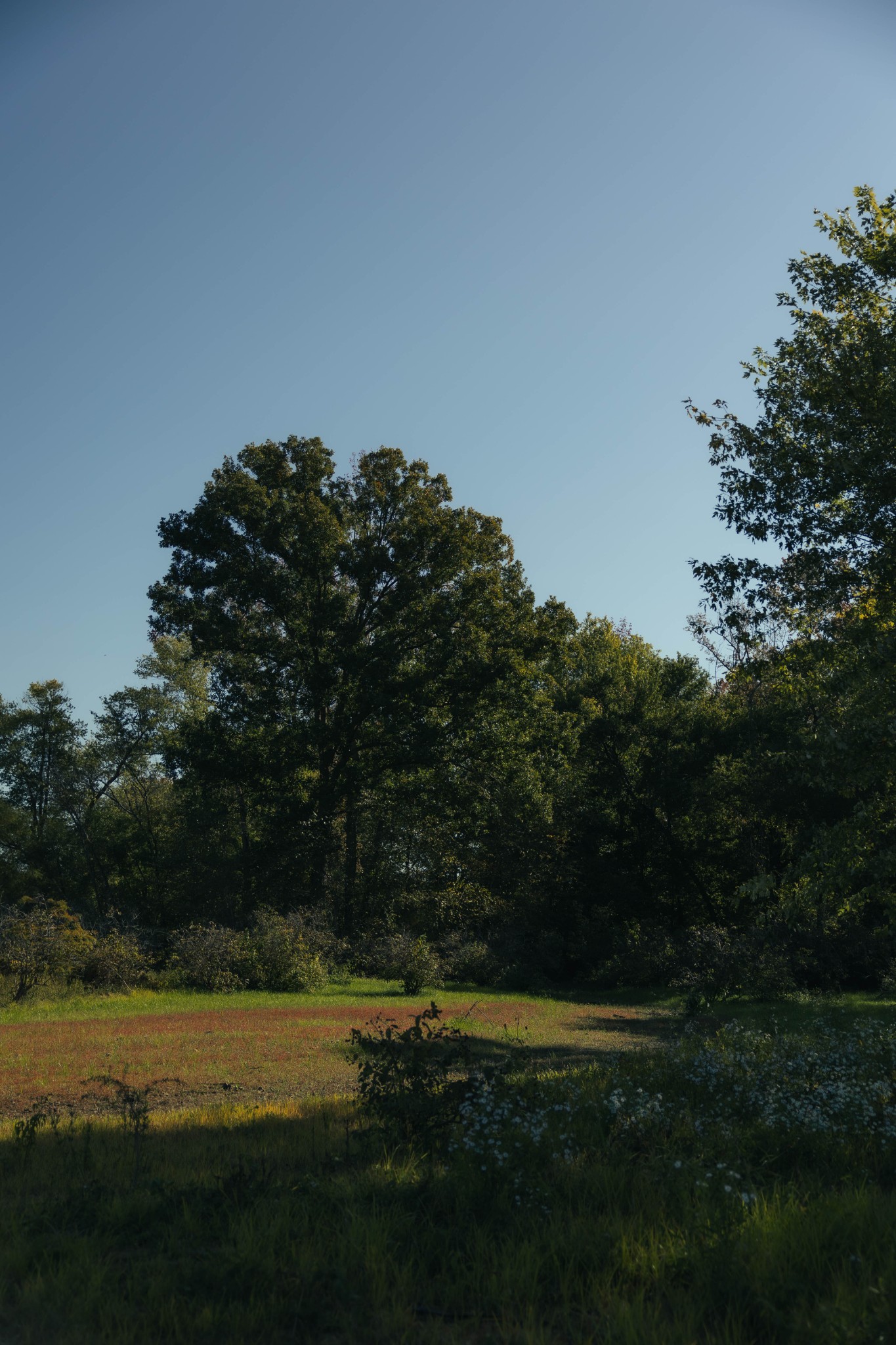 5845 Turkey Creek Road Waverly, TN 37185 - Photo 20 of 21