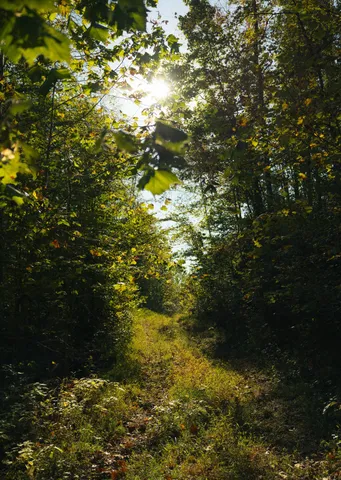 $75,000 | 5845 Turkey Creek Road, Waverly, TN 37185