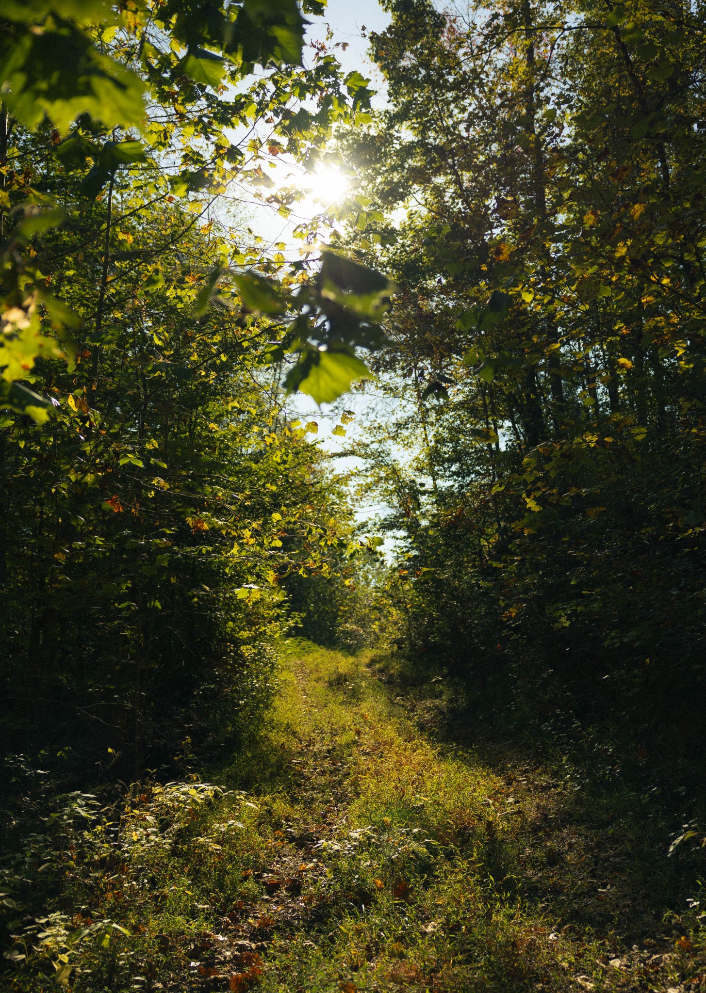 5845 Turkey Creek Road Waverly, TN 37185 - Photo 2 of 21