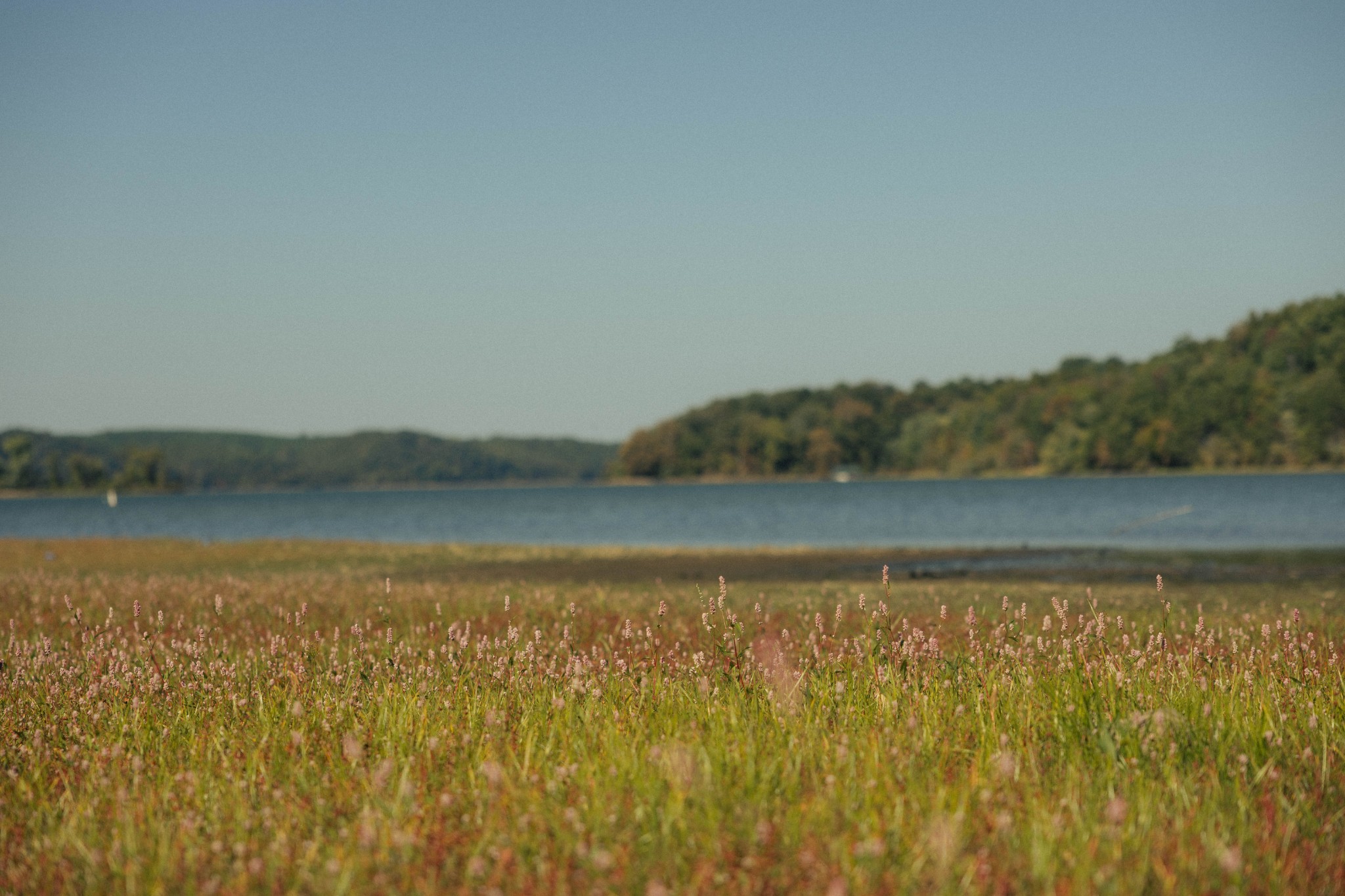 5845 Turkey Creek Road Waverly, TN 37185 - Photo 21 of 21