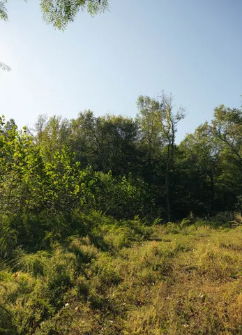 $75,000 | 5845 Turkey Creek Road, Waverly, TN 37185