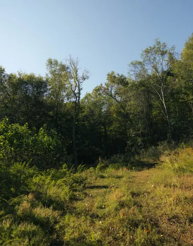 $75,000 | 5845 Turkey Creek Road, Waverly, TN 37185