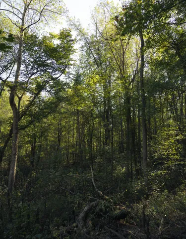 $75,000 | 5845 Turkey Creek Road, Waverly, TN 37185