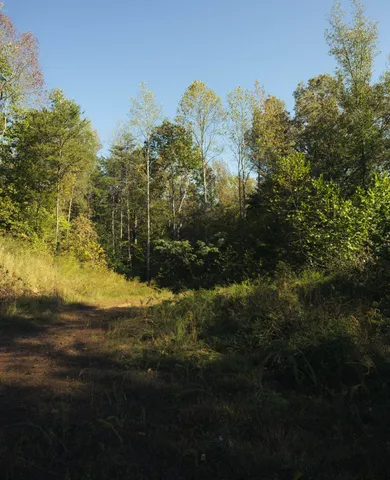 $75,000 | 5845 Turkey Creek Road, Waverly, TN 37185