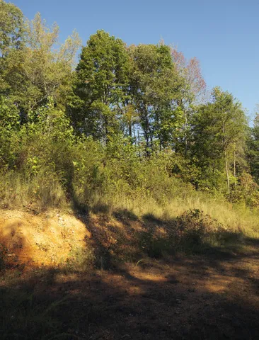 $75,000 | 5845 Turkey Creek Road, Waverly, TN 37185