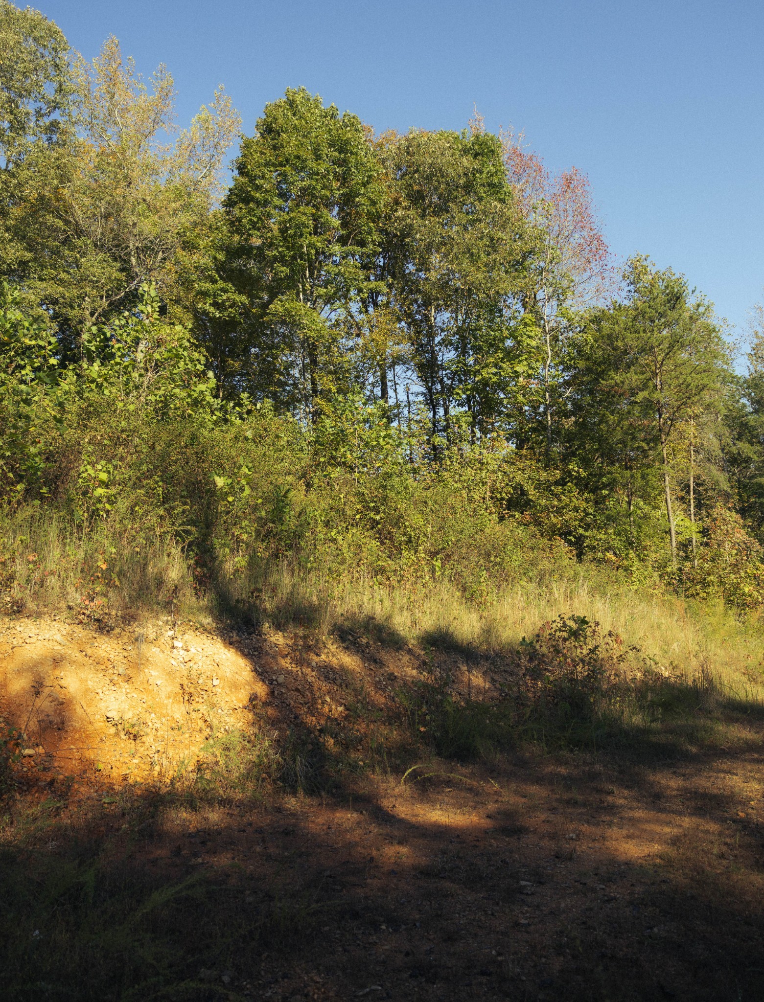 5845 Turkey Creek Road Waverly, TN 37185 - Photo 9 of 21