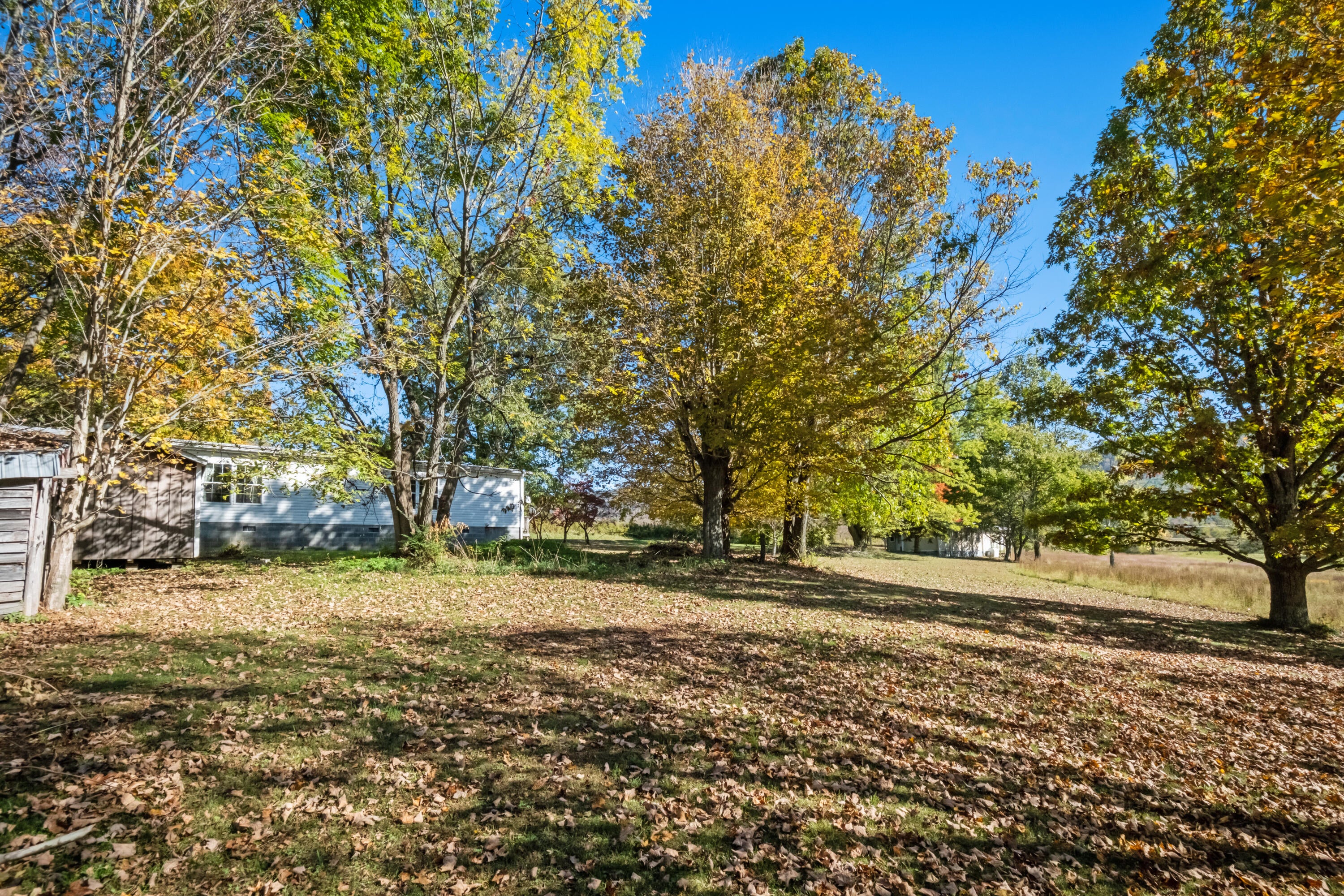 2114 Zenith Road Gap Mills, WV 24941 - Photo 11 of 80 Gallery Image 11
