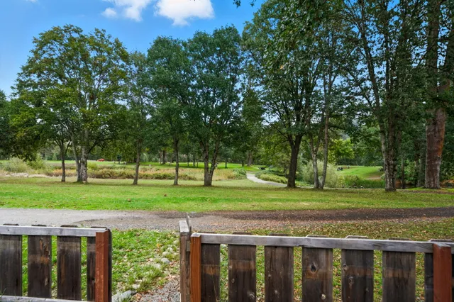 a view of a backyard with wooden fence and trees