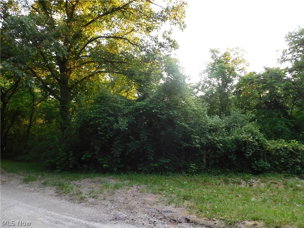 0 Man Of War Road Walker, WV 26180 - Photo 5 of 10 Gallery Image 5