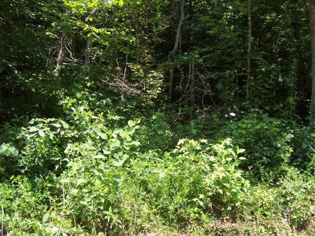 0 Fox Hollow Road Booneville, KY 41314 - Photo 2 of 20 Photo 2