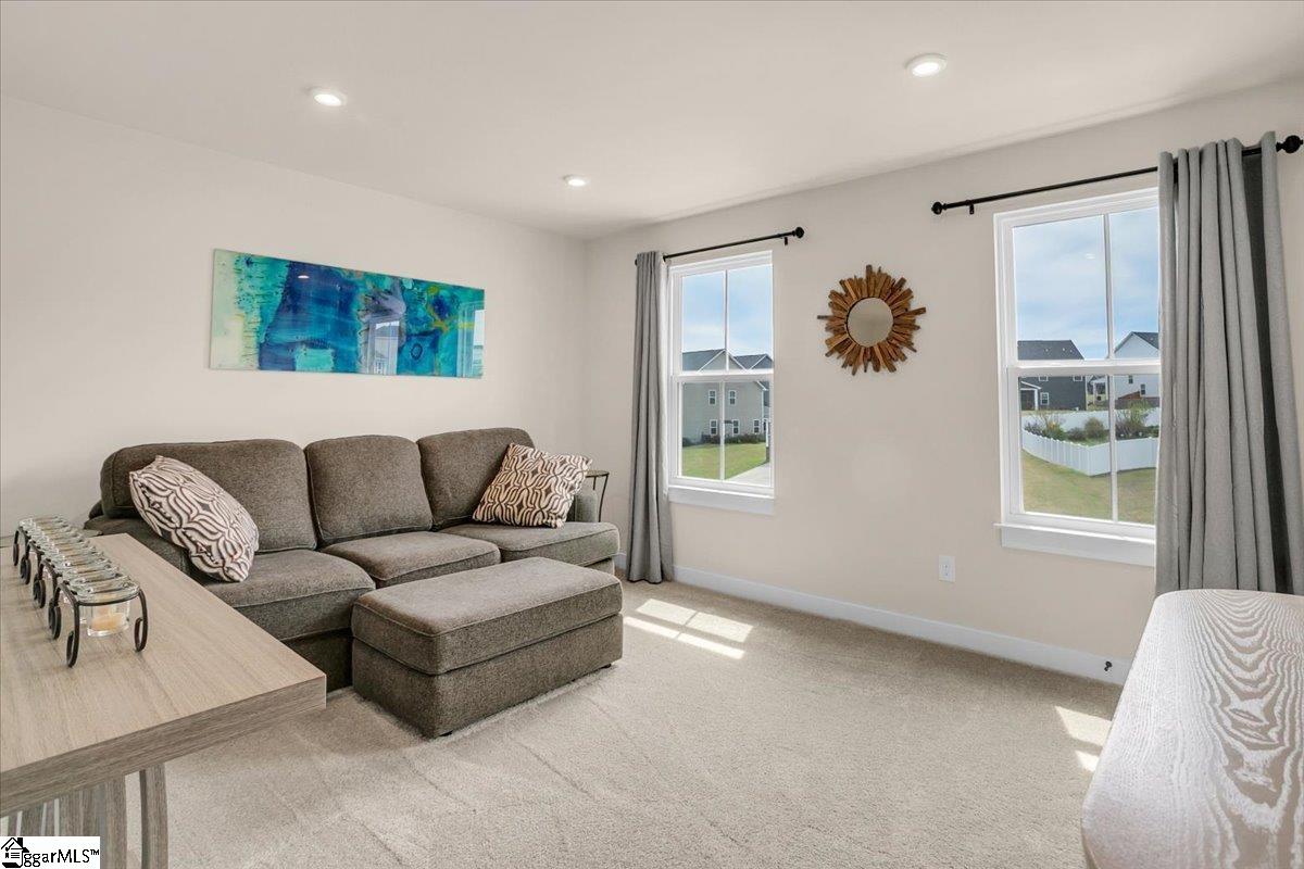 32 Mohegan Way Greenville, SC 29607 - Photo 26 of 50