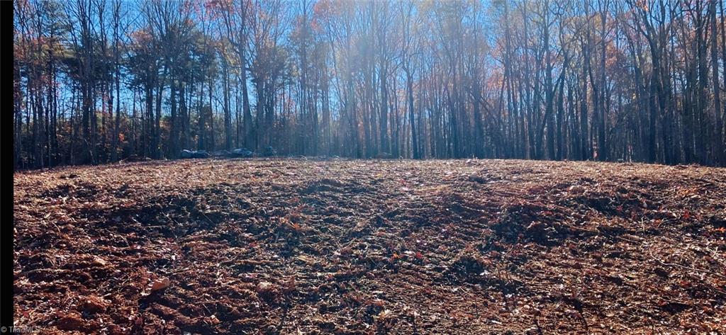 451 Golfcrest Road Denton, NC 27239 - Photo 2 of 2 Cleared and Graded!