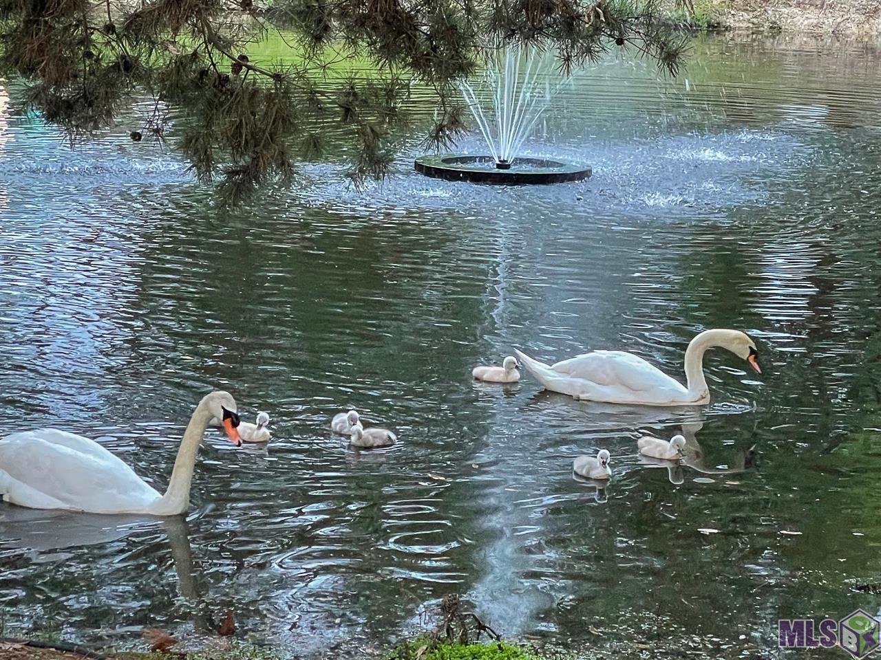 18042 Club View Drive Baton Rouge, LA 70810 - Photo 31 of 32