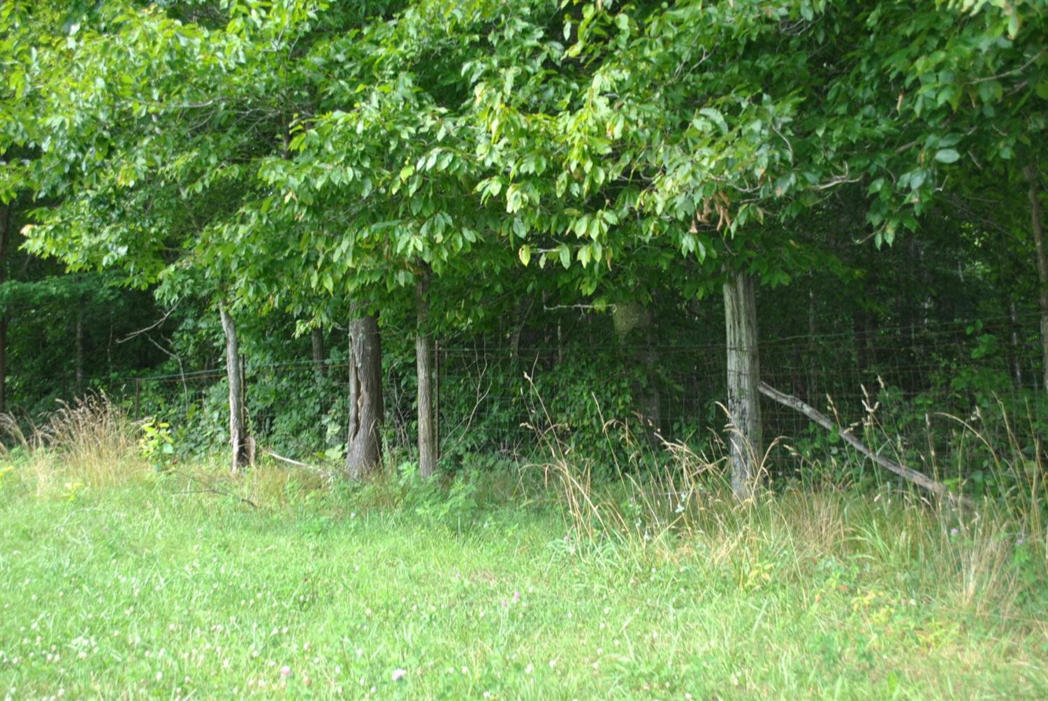 8380 Barbourville Road London, KY 40744 - Photo 54 of 62 Photo 54