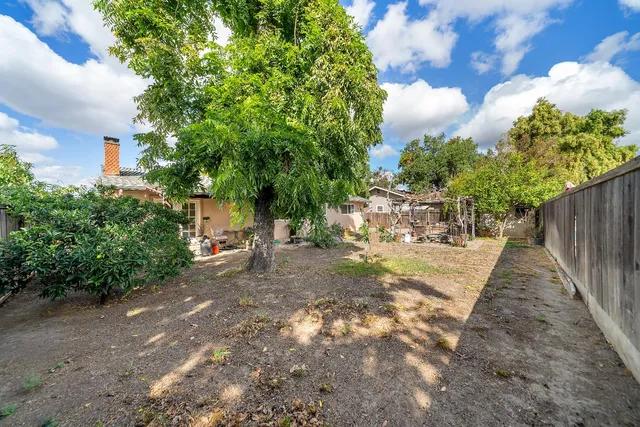 a view of a yard with plants and trees