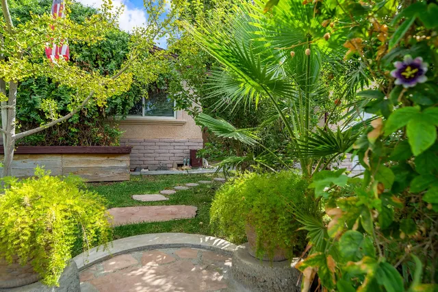 a view of a backyard with plants and a garden