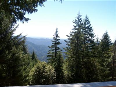 5261 Blue Lake Road Willits, CA 95490 - Photo 3 of 5 a view of a yard in a yard