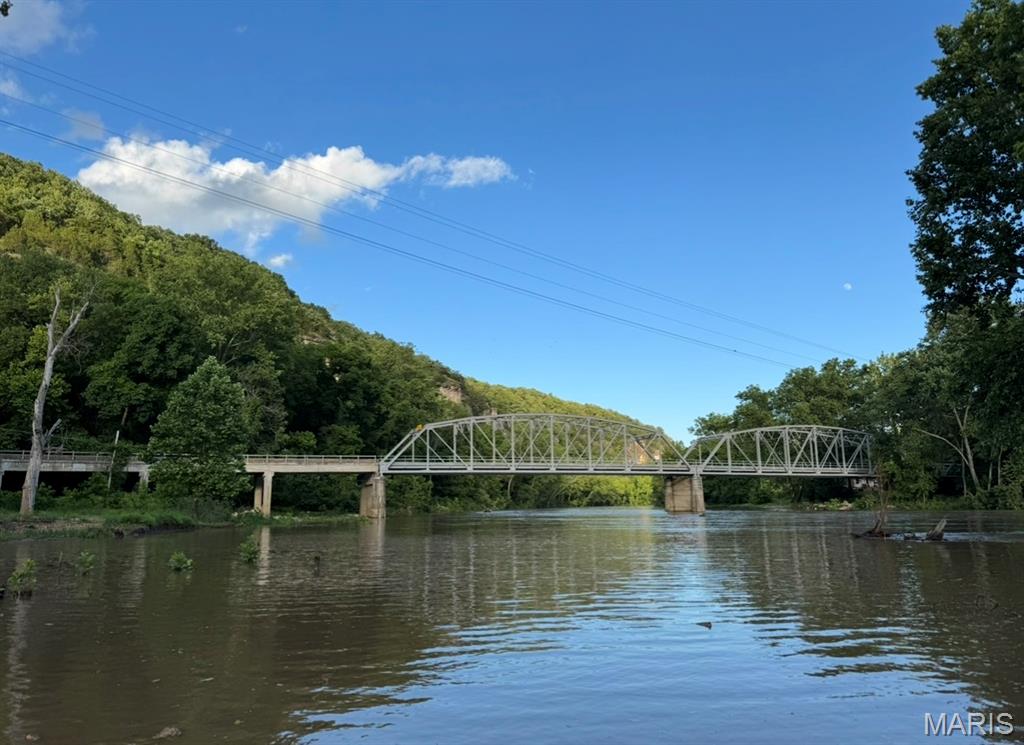 13446 Highway Z Street Devils Elbow, MO 65457 - Photo 4 of 13